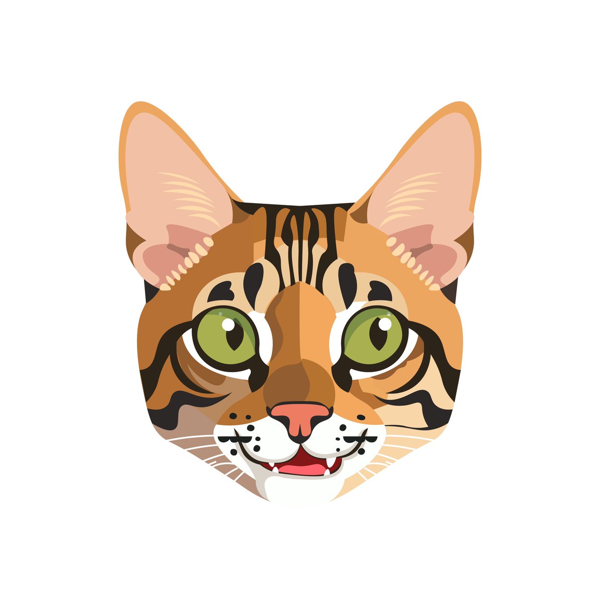 Bengal on Base tweet media