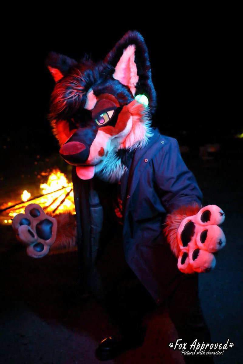 AZFurCon's tweet photo. For this round of Pre-Prom Stars we had a tie! So we have two people joining the royal court! Congratulations to Ranger for being voted to become a Pre-Prom Star! https://t.co/4d2wMulPRF