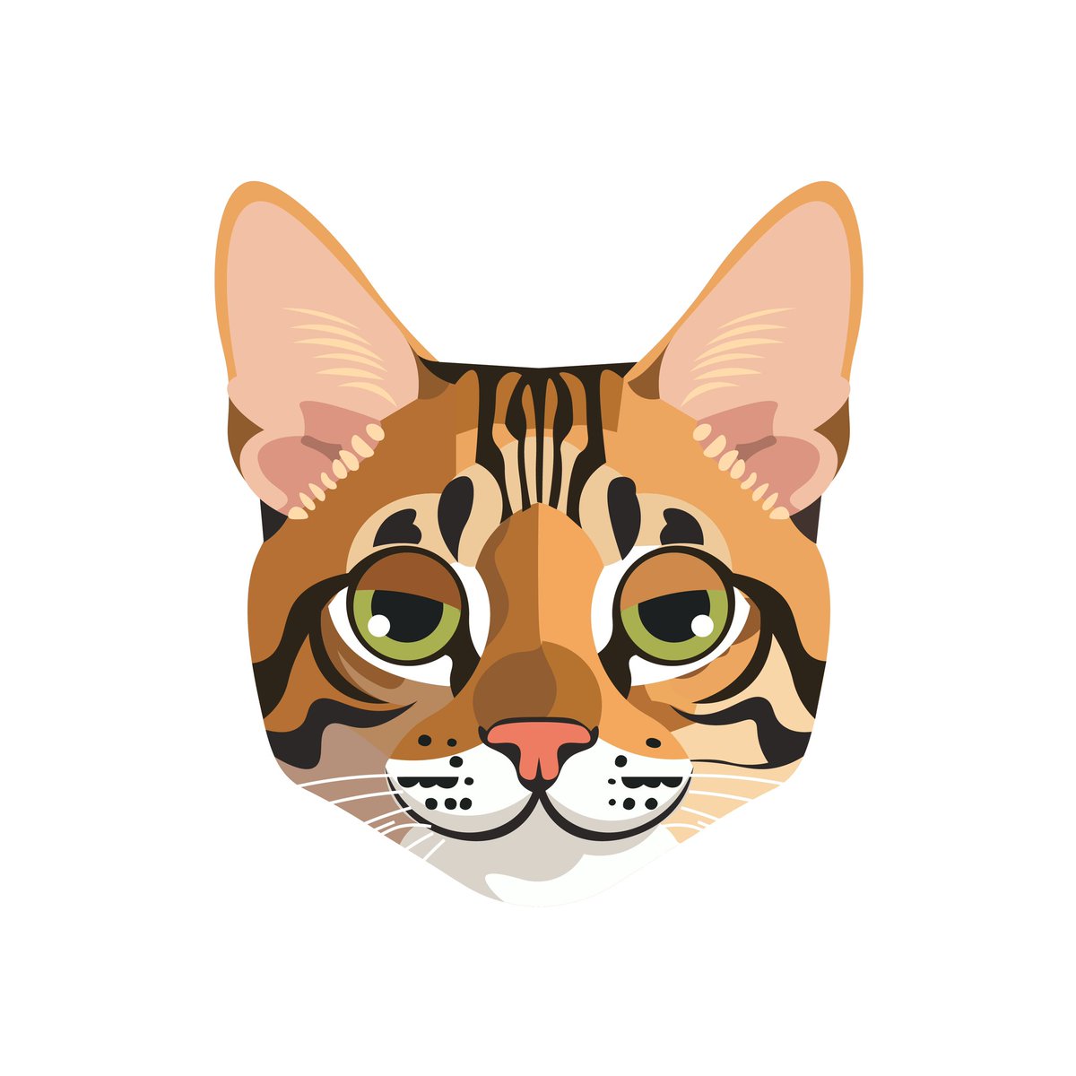 Bengal on Base tweet media