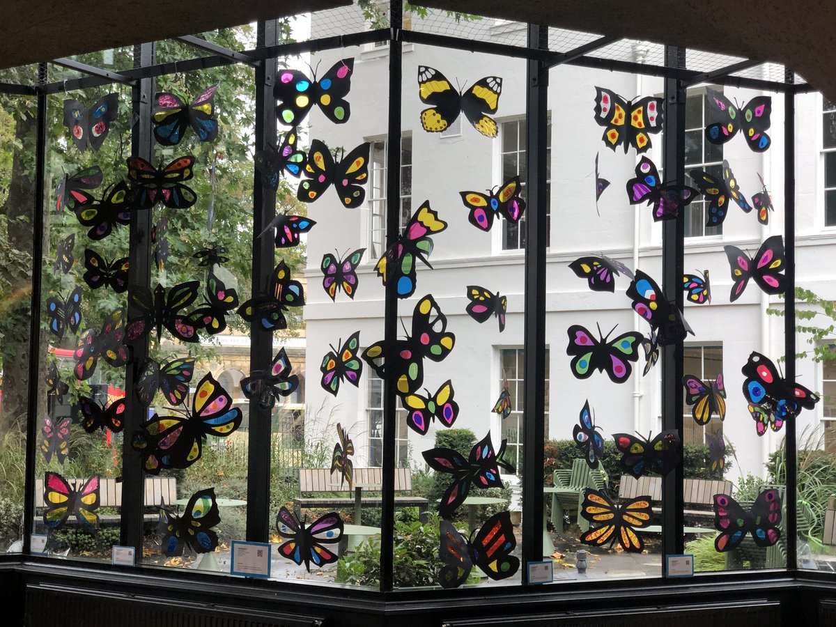 Stunning display of butterflies, part of the International Day of Older People celebration in York <a href="/IDOPyork/">IDOPyork</a> <a href="/YopaYork/">YOPA York Older People's Assembly</a> <a href="/YorkTheatre/">York Theatre Royal</a>