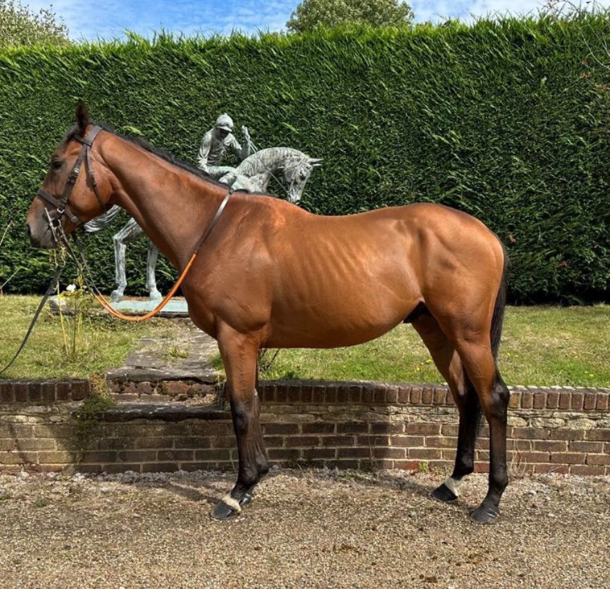 Keston Racing Club tweet media