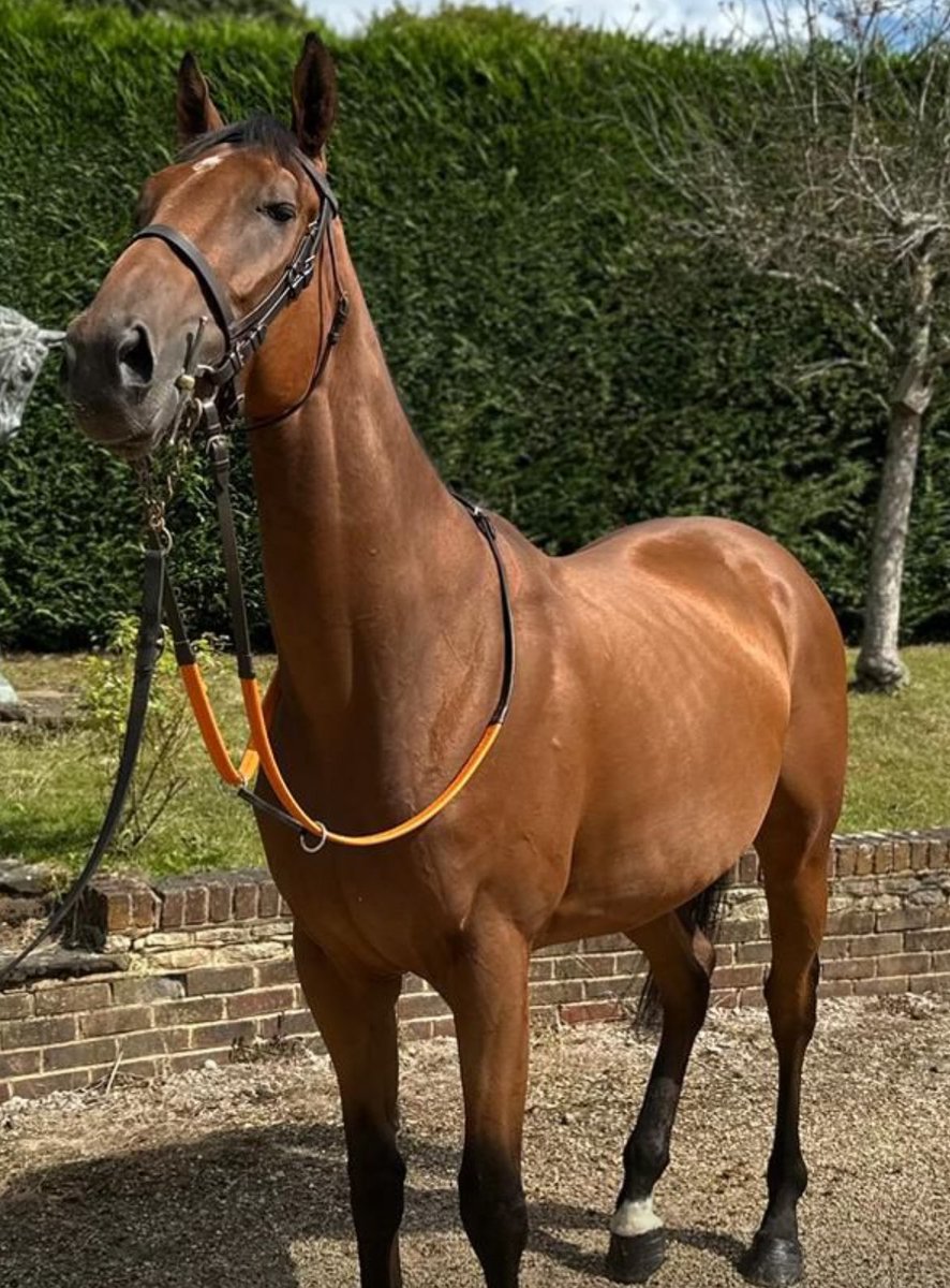 Keston Racing Club tweet media