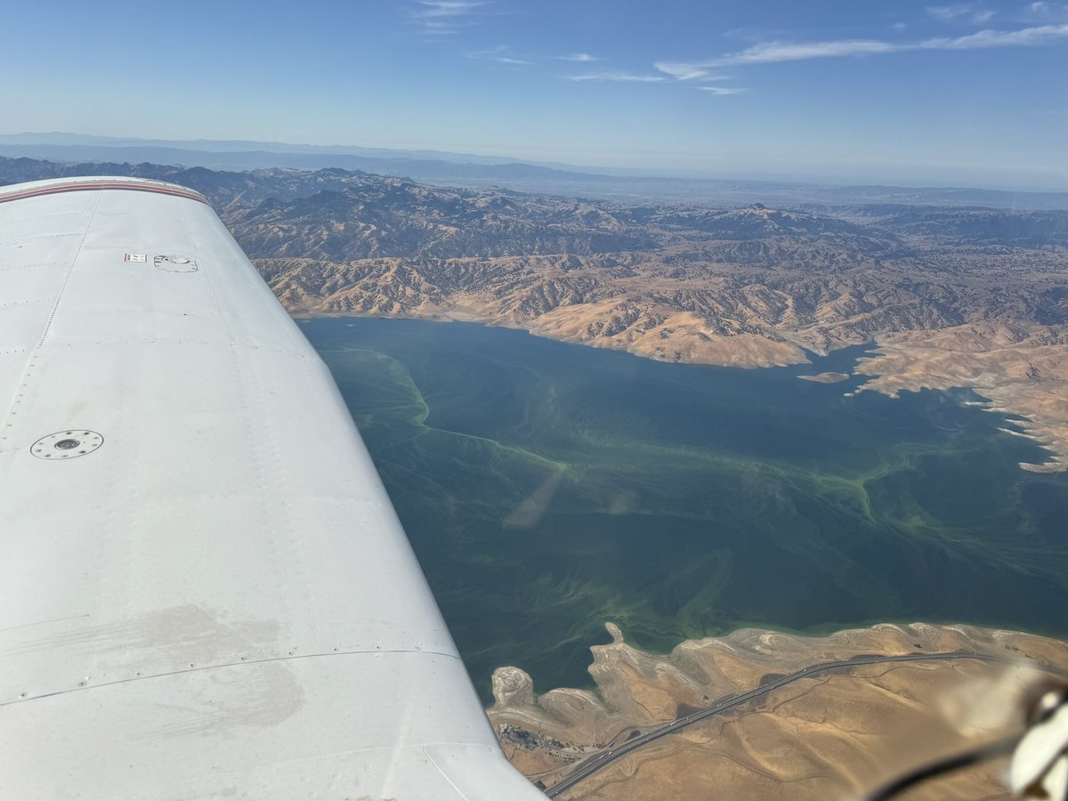 Overflew San Luis Reservoir today and…Holy Harmful Algal Bloom, Batman!! #cawater #flying #SLDMA
