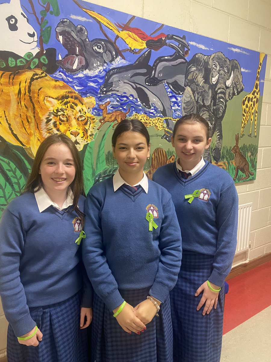 Members of our ‘Desmond College Wellbeing Committee’ visited all classrooms during tutor time this morning and helped promote mental health awareness amongst staff and students by handing out green ribbons to everyone 💚
@LimClareETB