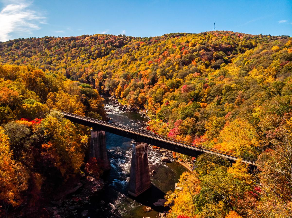 landforcepgh's tweet image. PA Trails Month continues! Fall in PA is the perfect time to explore the Great Allegheny Passage (@GAP_Trail), a 150-mile trail from Pittsburgh to Cumberland, MD. Stunning views await! 

#PATrailsMonth #ExplorePA #GreatAlleghenyPassage