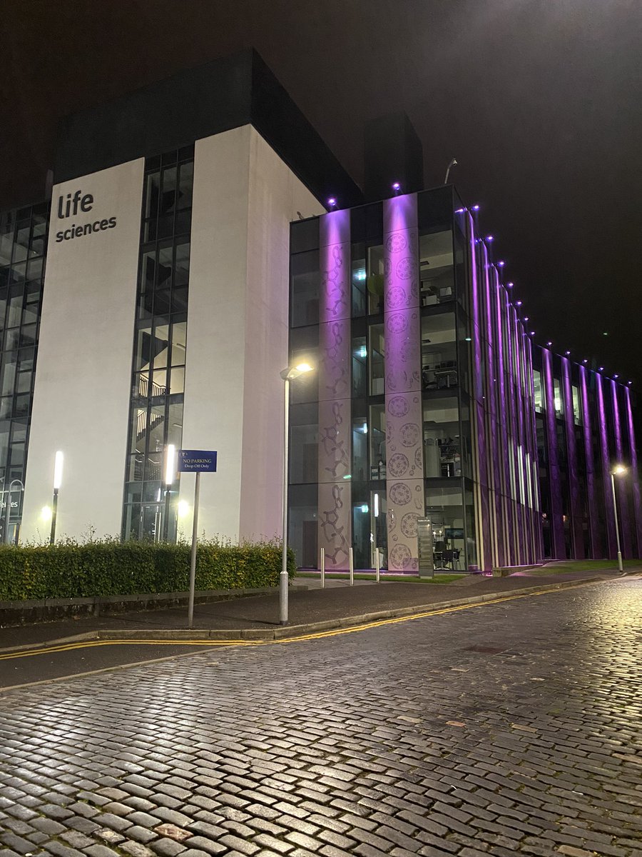 Mayra Crowe 🇲🇽🏴󠁧󠁢󠁳󠁣󠁴󠁿 tweet media