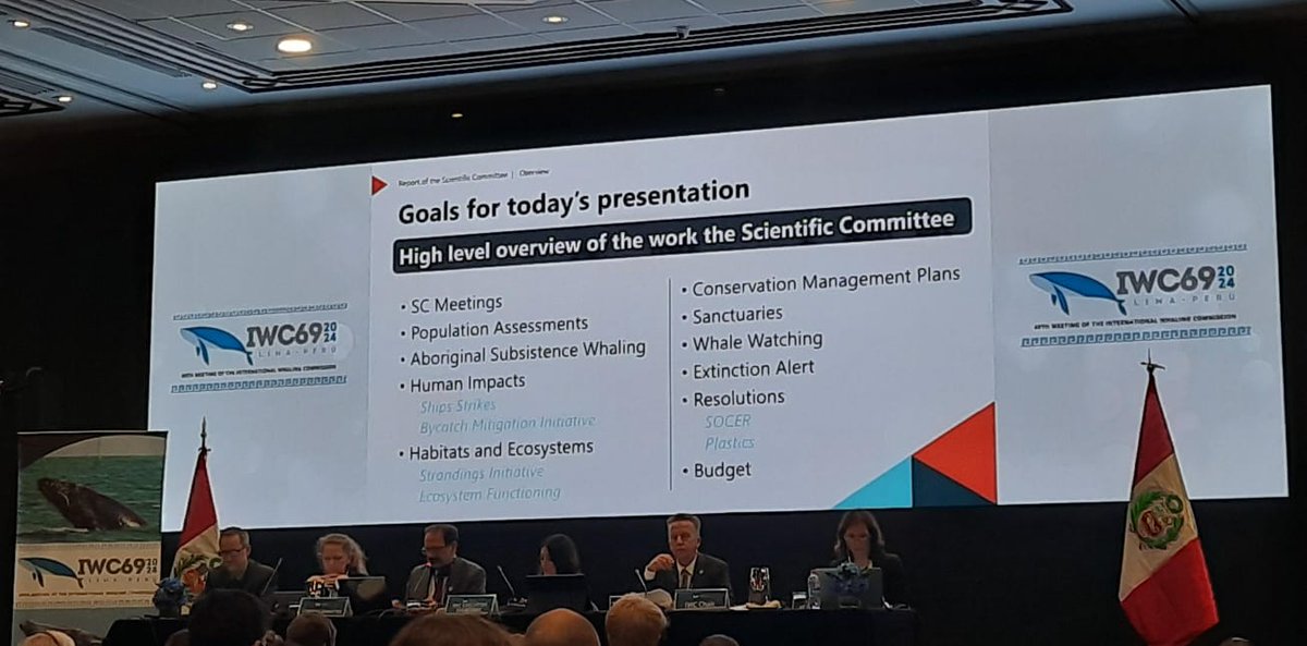 The IWC's work, including through its Scientific Committee, covers supporting contracting governments in population assessments, bycatch, ship strikes, sanctuaries and whale watching. This work is unpaired between international fora.