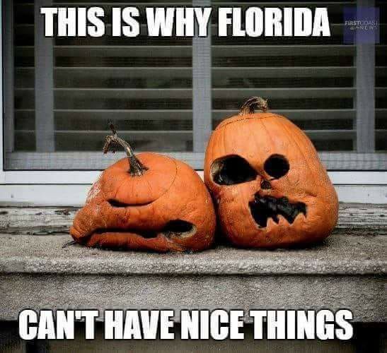 BSA_Claims's tweet image. 🎃🍂 Only in Florida! Our pumpkins melted in the heat—this is why we can’t have nice things! At BSA Claims Solutions, we understand the unique challenges of home protection in our sunny state. Stay prepared and keep your home safe! #FloridaLife #Humor #PumpkinProblems