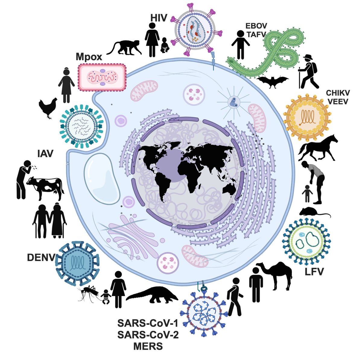 Olivier Schwartz Lab tweet media