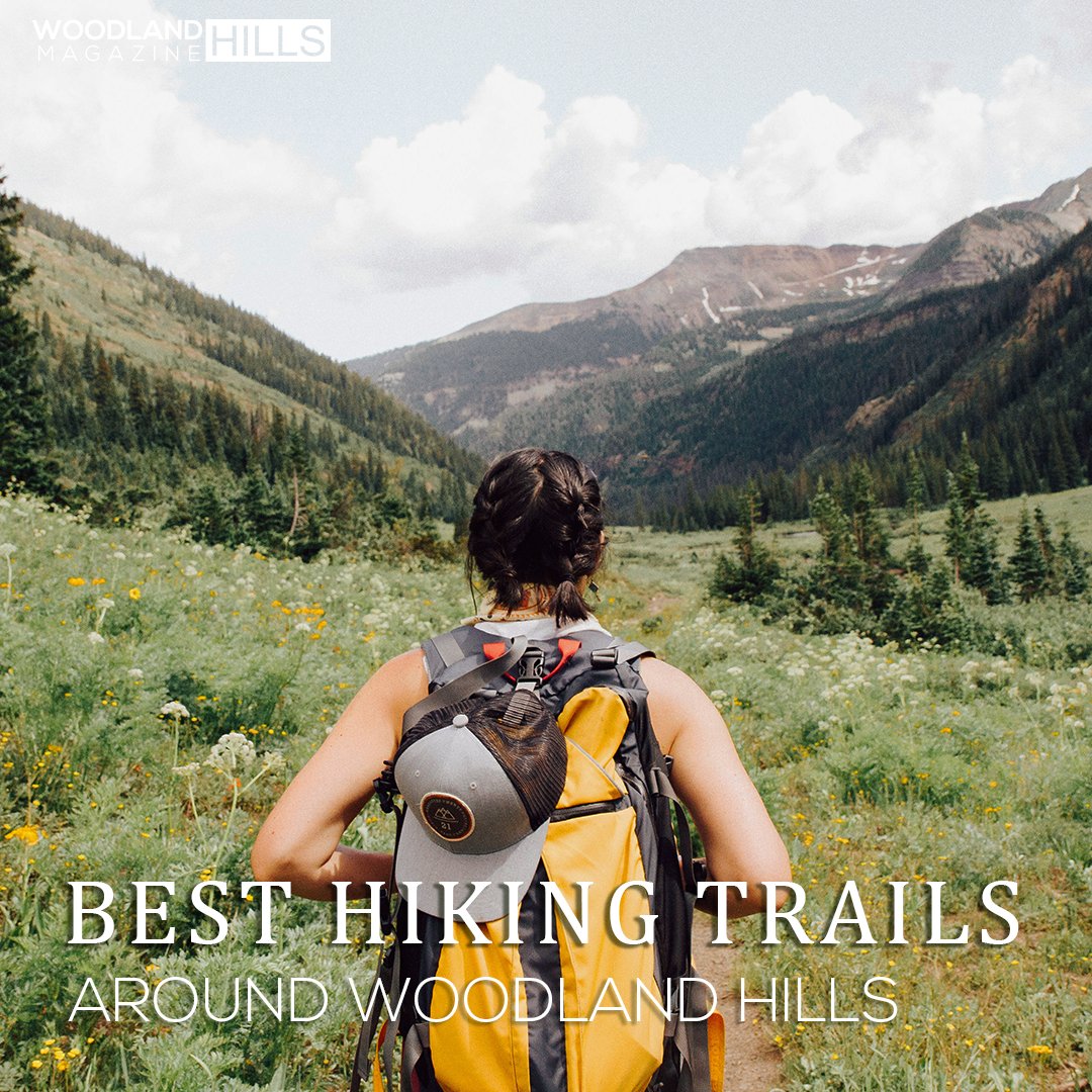 WH Magazine tweet media