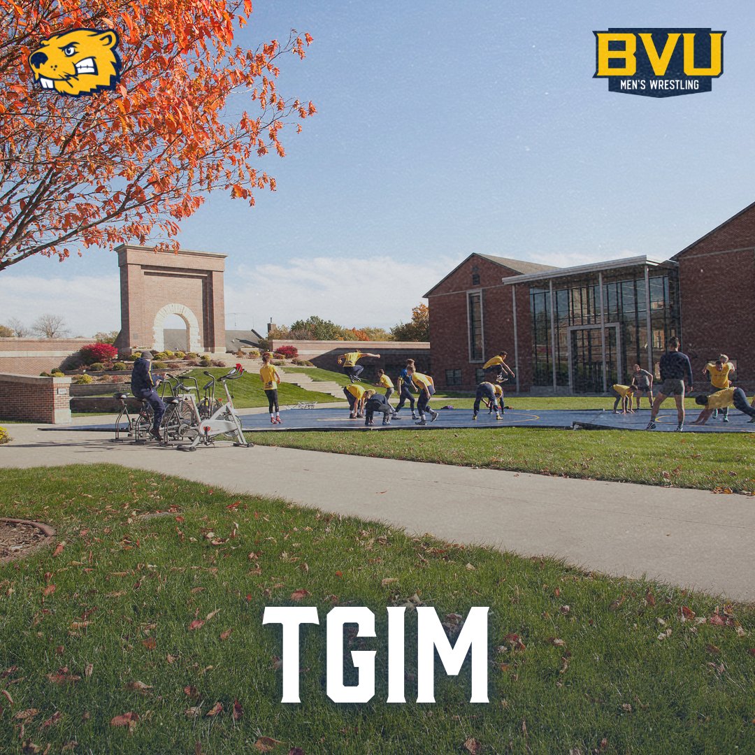 BVU Men's Wrestling tweet media