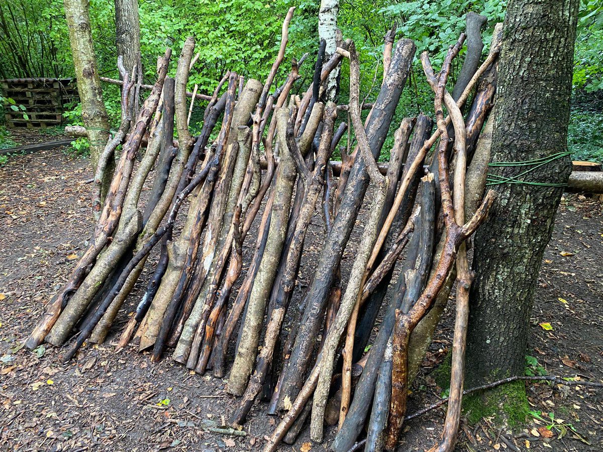 Little Stoke Primary tweet media