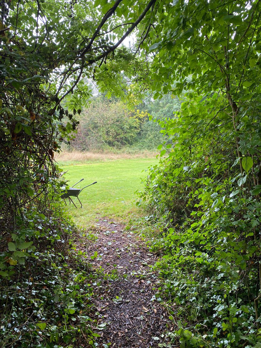 Little Stoke Primary tweet media