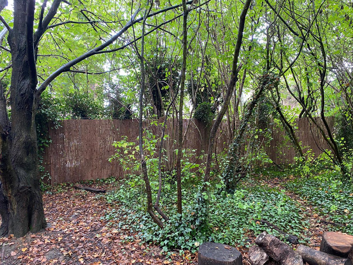 Little Stoke Primary tweet media