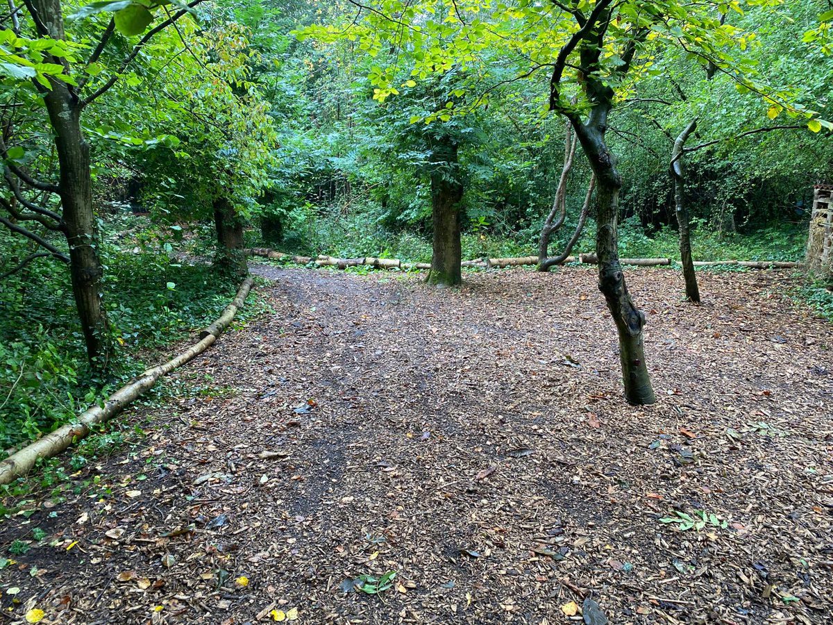 Little Stoke Primary tweet media