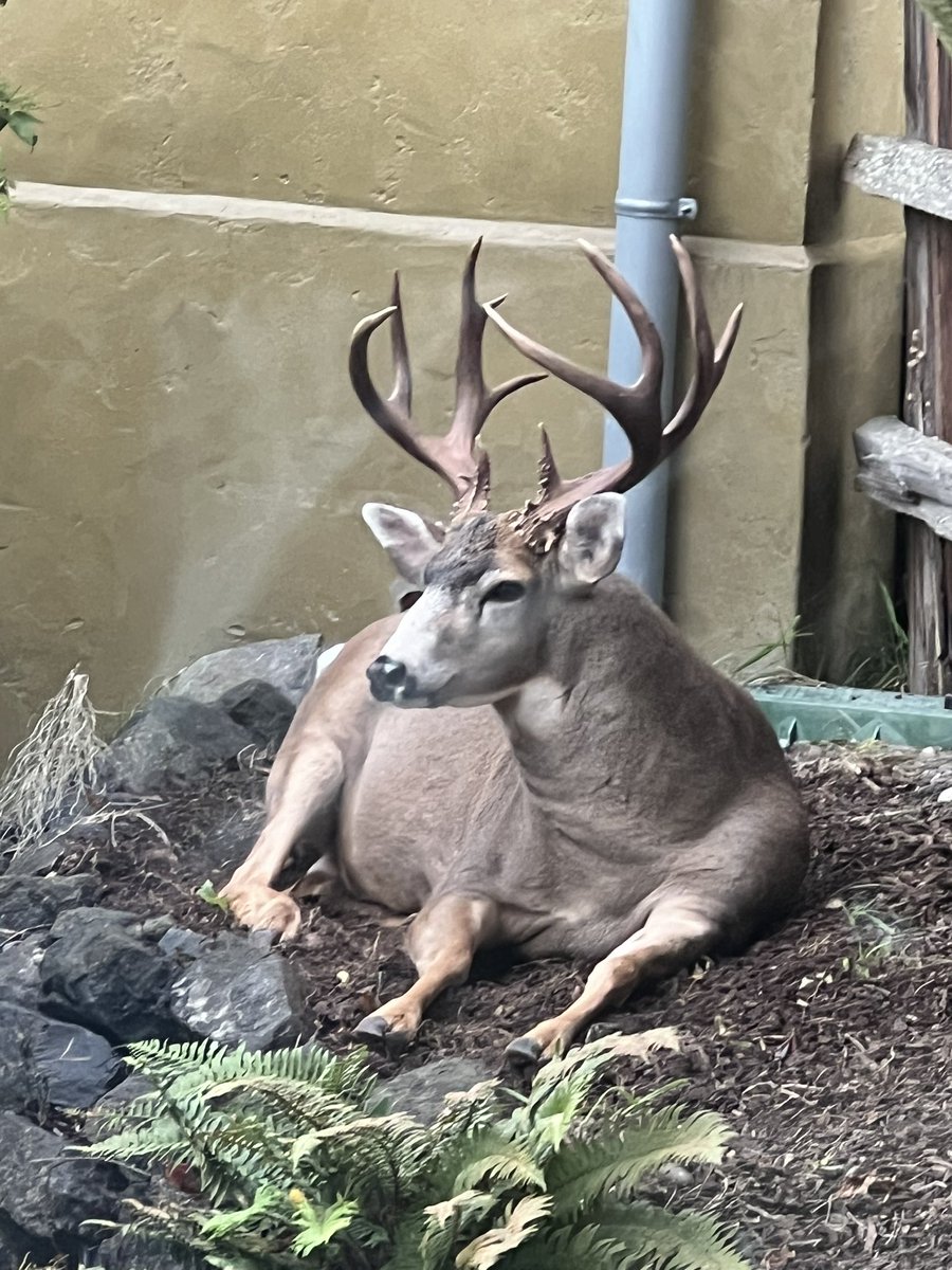 Any tips on how to get this guy to move so i can change this meter out