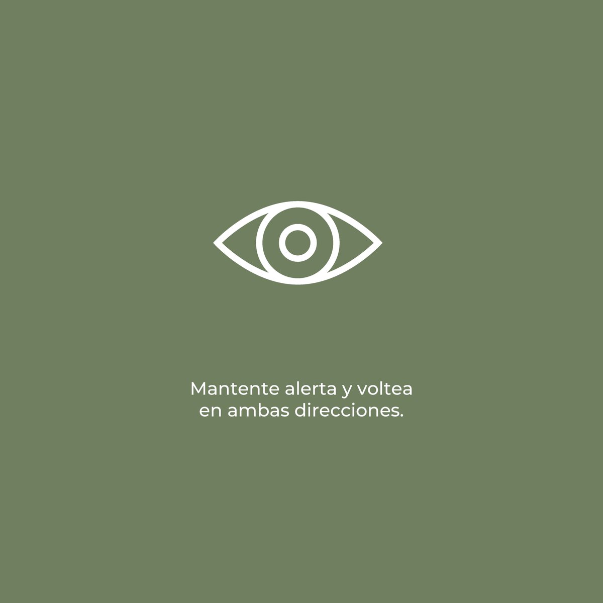 FerrovalleMX tweet picture