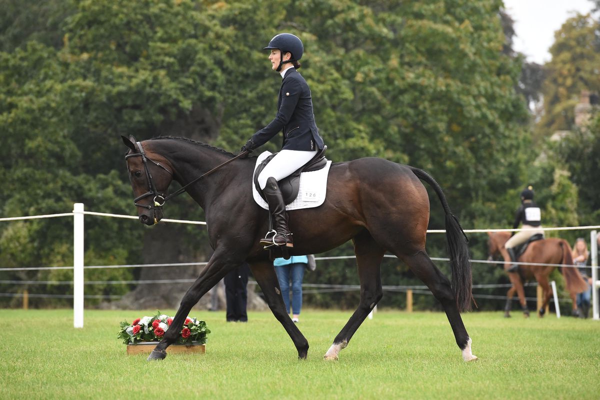 Roger Varian tweet media