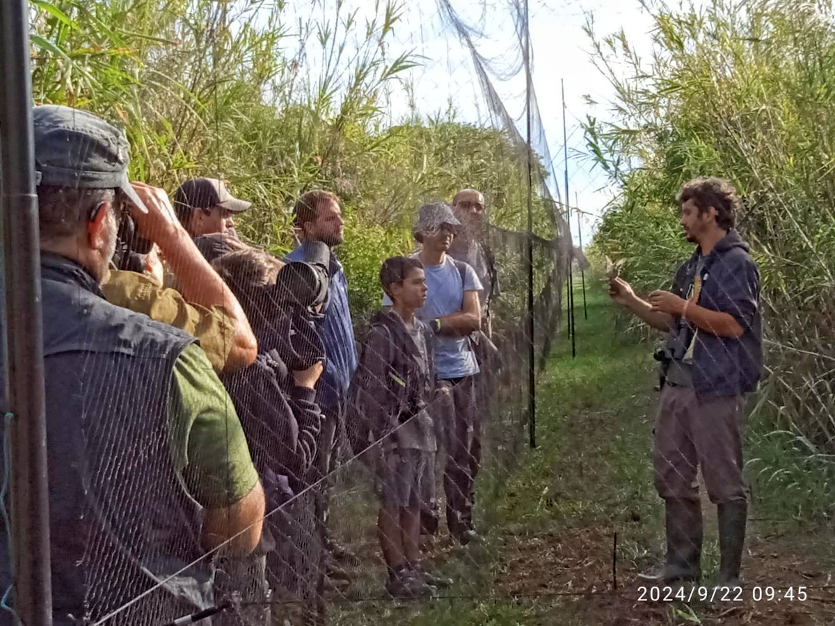 I l'endemà, ja sense pluja, la visita i anellament a l'Alfacada encara va ser més bonica!!!
l'Alfacada sempre ESPECTACULAR!