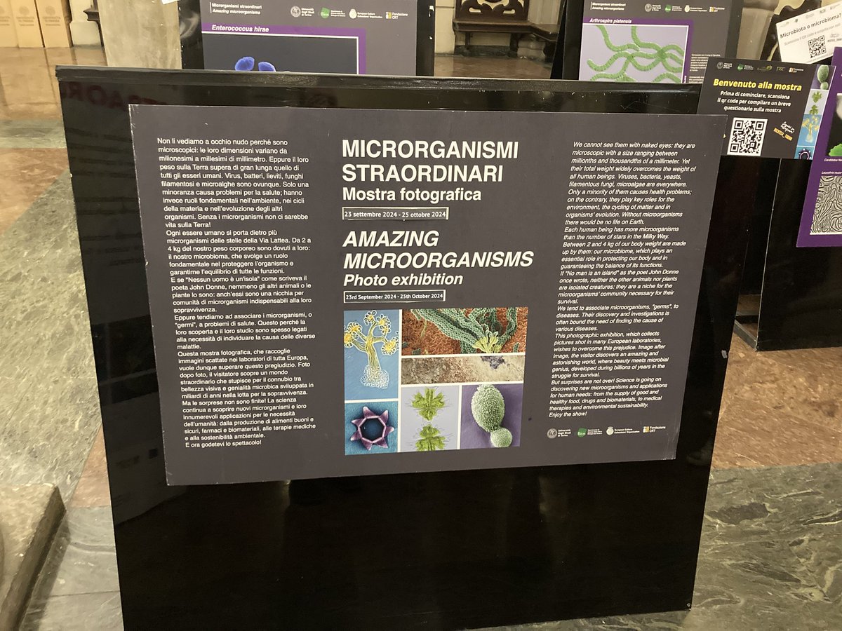 FoodScience_UNIPR (@foodphdunipr) on Twitter photo Interested in the Micro World? Join the <a href="/FoodmicroU/">Foodmicro_unipr</a> and our PhD students to the “Amazing microorganism” photo gallery 🦠 #unipr #microorganisms Interested in the Micro World? Join the <a href="/FoodmicroU/">Foodmicro_unipr</a> and our PhD students to the “Amazing microorganism” photo gallery 🦠 #unipr #microorganisms