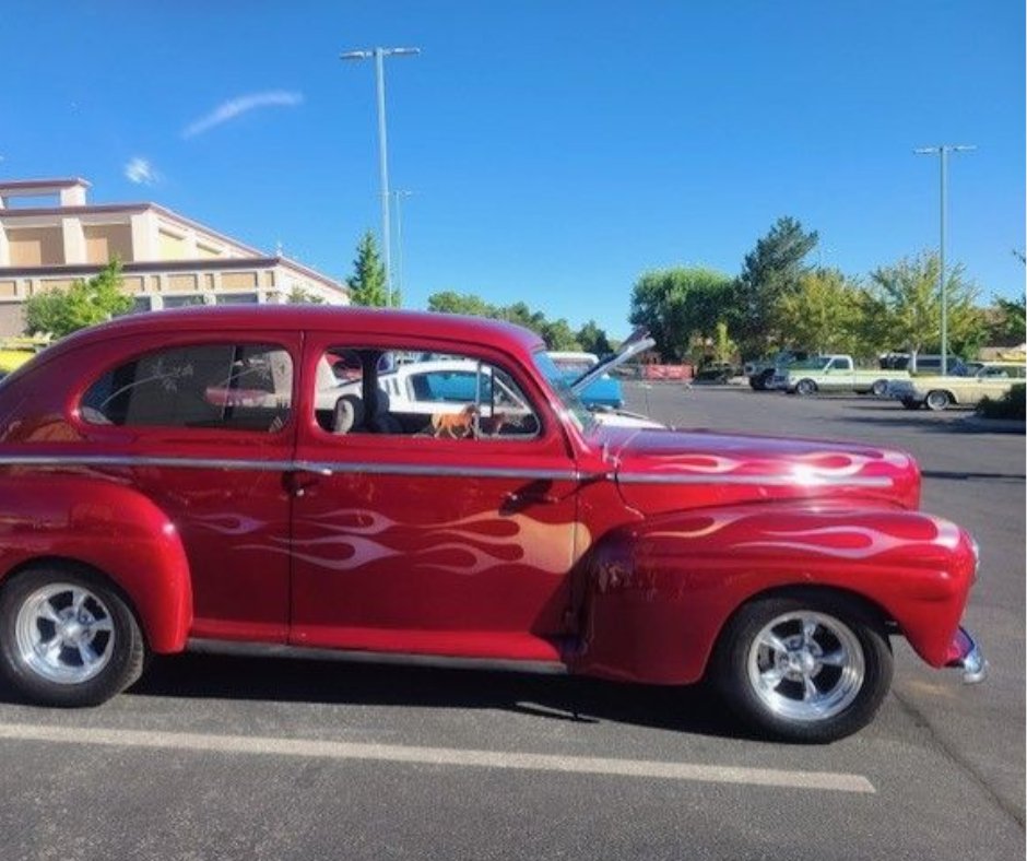 BBPrintSource's tweet image. Check out Sylvester&apos;s ride 🔥 Have your own Sylvester yet? Ask your rep!

THEN...

Tag B&amp;amp;B and use the hashtag #sylvesteradventures so we can see what your Sylvester has been up to! 🐴

#portlandprinter #largeformat