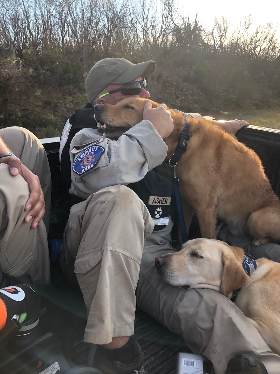 empactnw's tweet image. Our Disaster Search Canines are heroes on four legs and your donation keeps them ready to save lives:

$50 = 1 month of food
$100 = 1 training day
$500 = search equipment
$1,000 = disaster site transport

Donate: secure.givelively.org/donate/empact-…

#SearchDogs #SaveLives