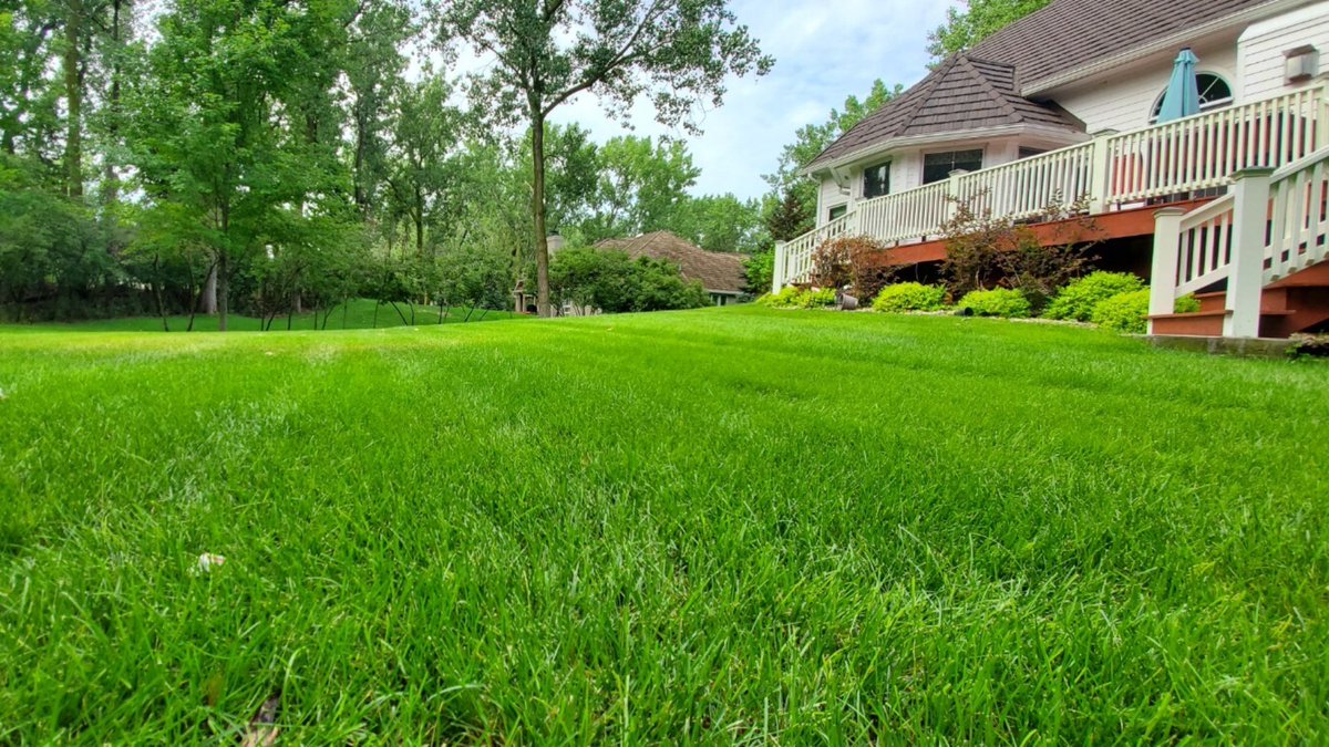 Sharp_LawnCare's tweet photo. If your lawn thinned out over the summer, #overseeding this fall will help make it thicker, which we perform with #aeration to ensure ideal conditions for germination! 🌱

Call (712) 248-8368 to schedule and achieve a Sharp lawn! 

https://t.co/E1ppTAHw7m https://t.co/v8zYOuzUex