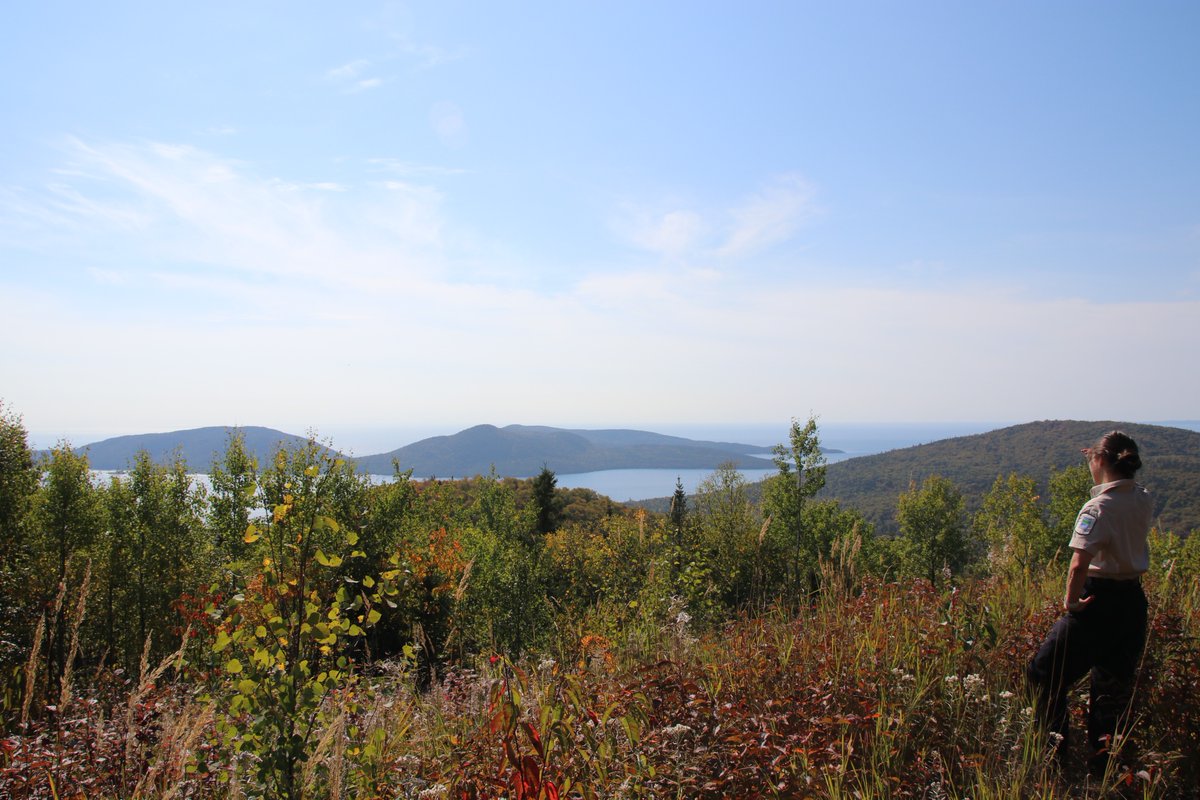 NeysProvPark's tweet photo. Lookout! Pic Island is absolutely gorgeous this time of year! 

If you're wanting to brave the Pic Island Overlook trail, be prepared for a 4.5km linear hike with an astounding variety of beautiful, mesmerizing mushrooms on either side of the trail. 🍄 https://t.co/sqErRyIgZR