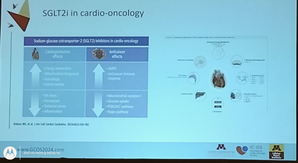 Zordoky_Lab (@zordoky_lab) on Twitter photo Happy to see our <a href="/JACCJournals/">JACC Journals</a> review article highlighted by Dr. Ariane Macedo at the #GCOS2024 Happy to see our <a href="/JACCJournals/">JACC Journals</a> review article highlighted by Dr. Ariane Macedo at the #GCOS2024