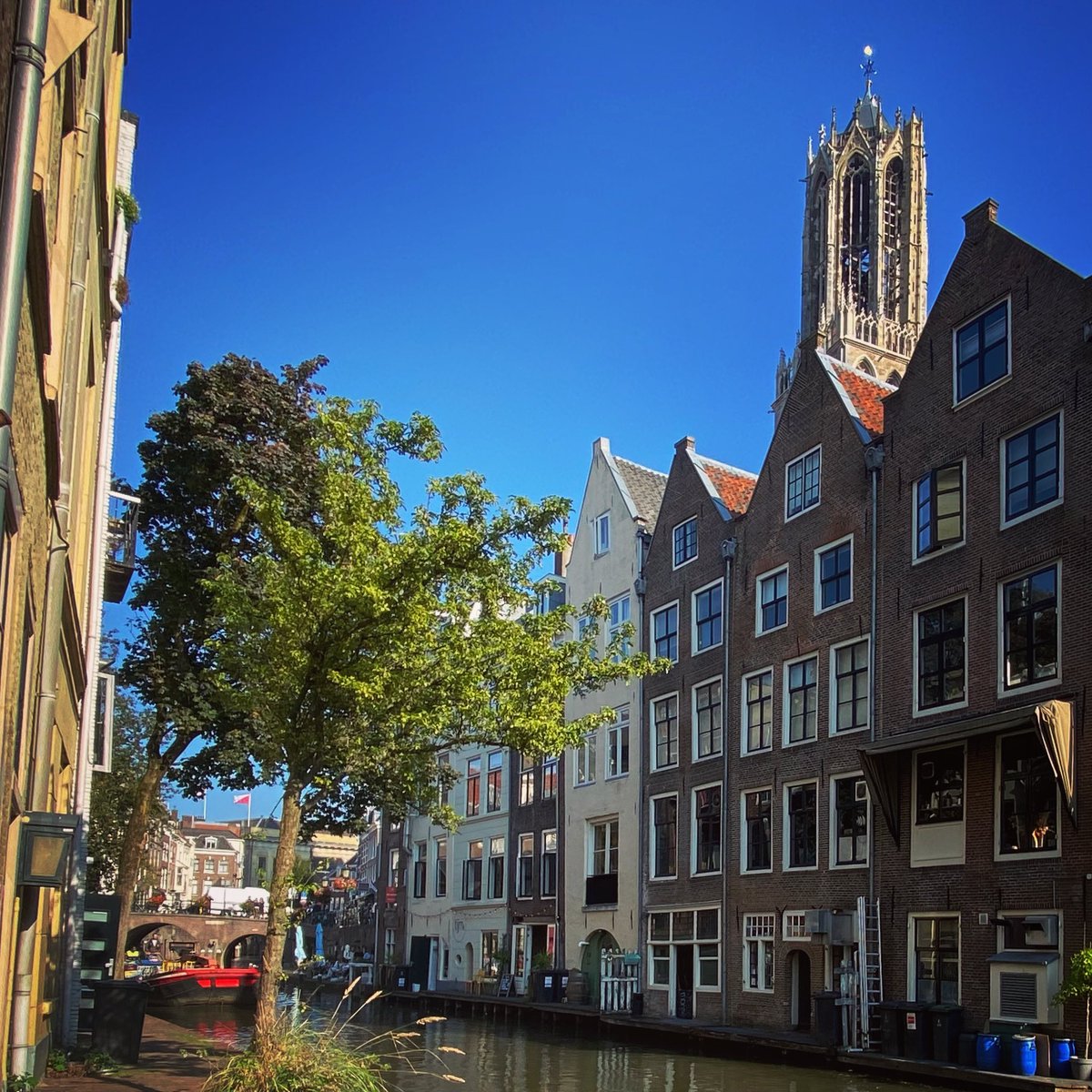 Wilbert Pot 💬 tweet media