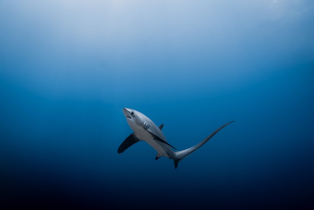 Jeremy Roberts tweet media