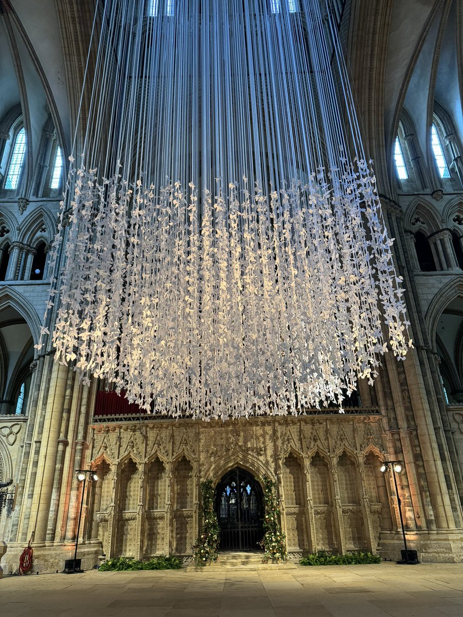 A few of the education team took a moment over lunch to see the Peace Doves <a href="/LincsCathedral/">Lincoln Cathedral</a> Definitely worth a visit if you are in Lincoln at any time!