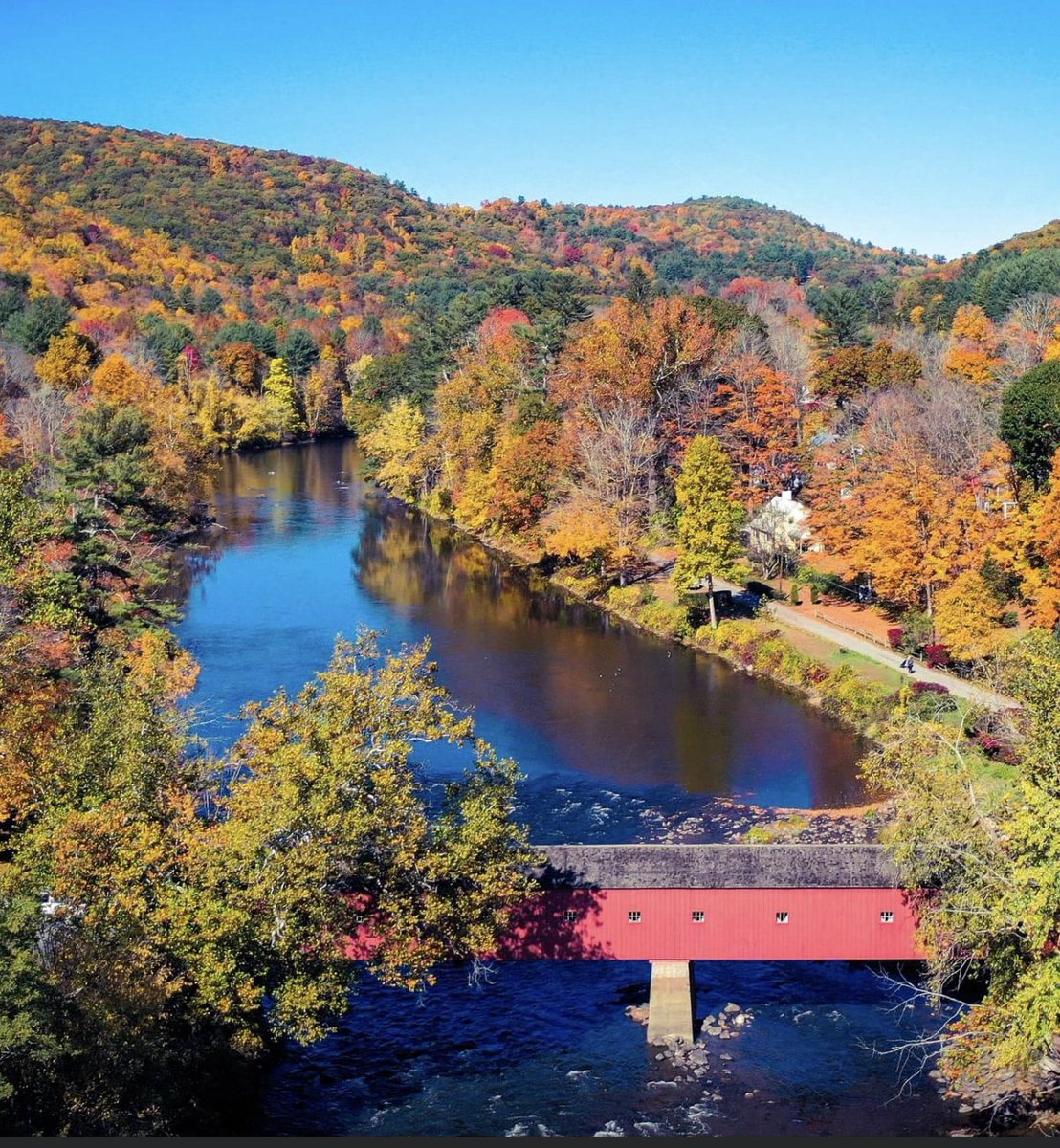 Green Monster Recycling tweet media