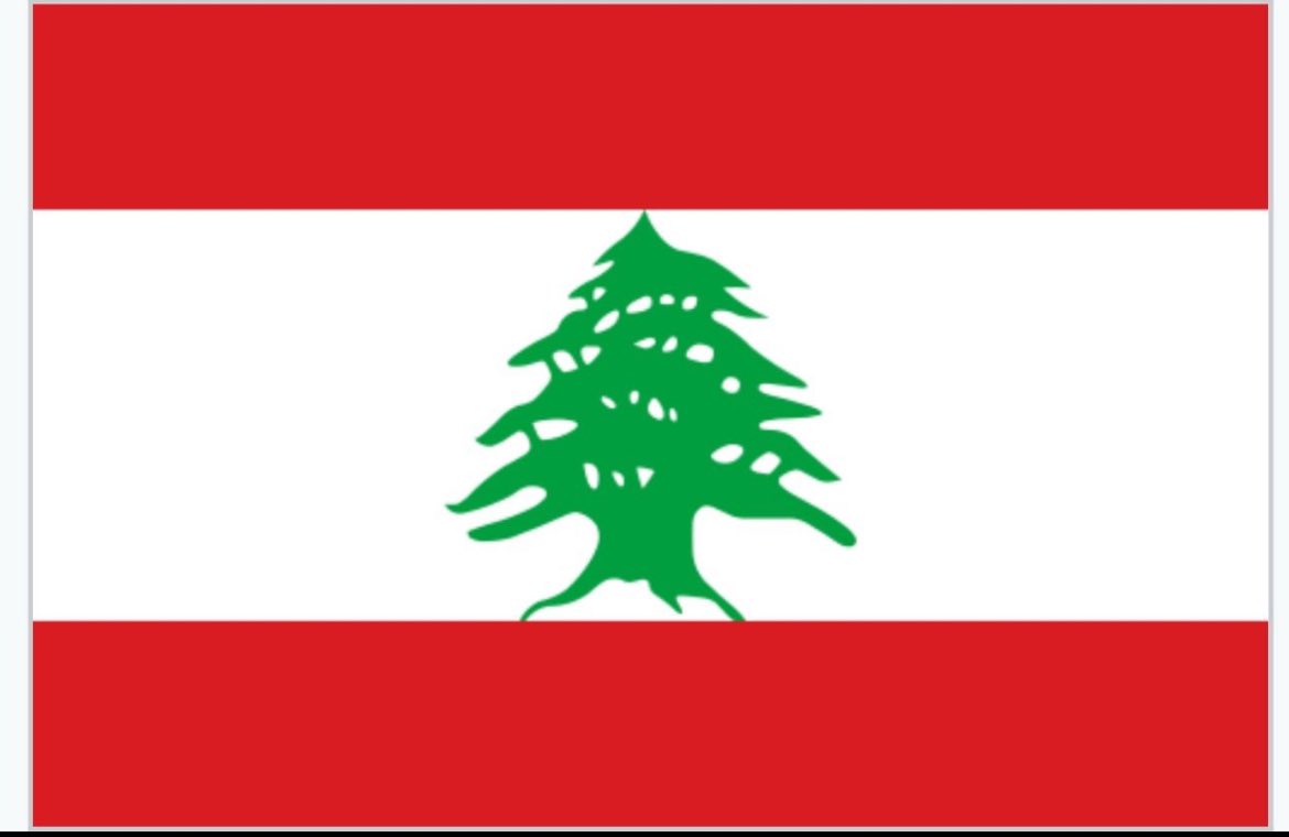 Carol Khouzami (@carolkhouzami) on Twitter photo 