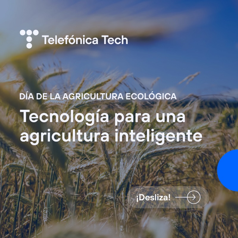 TelefonicaTech's tweet photo. 🌱🍂 ¡Hoy celebramos el Día de la Agricultura Ecológica y damos la bienvenida al otoño! 🍁🌍
En Telefónica Tech, trabajamos cada día por un futuro más verde, ¡conoce todos los beneficios de nuestras soluciones #SmartAgro! 🌿💡