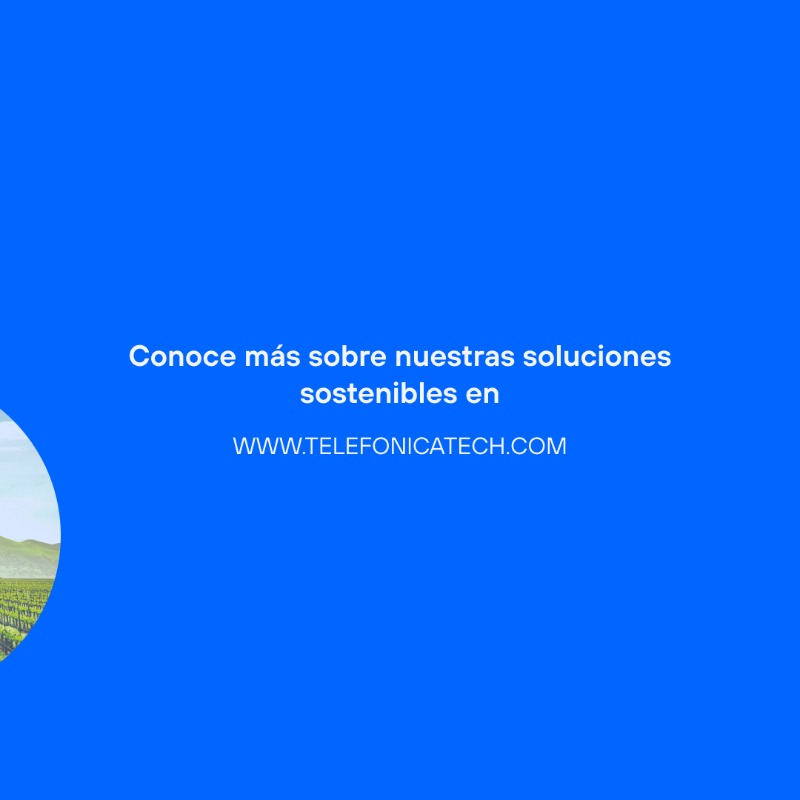 TelefonicaTech's tweet photo. 🌱🍂 ¡Hoy celebramos el Día de la Agricultura Ecológica y damos la bienvenida al otoño! 🍁🌍
En Telefónica Tech, trabajamos cada día por un futuro más verde, ¡conoce todos los beneficios de nuestras soluciones #SmartAgro! 🌿💡