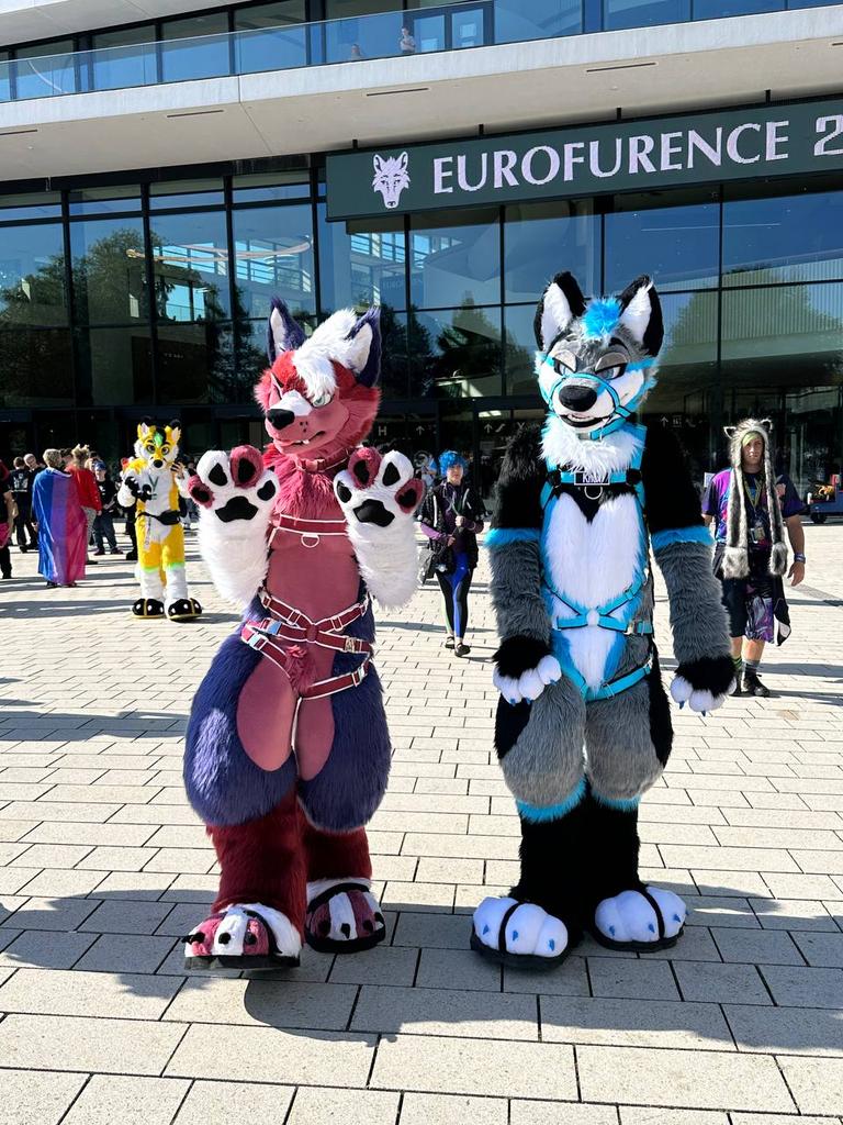 ZackHusky's tweet photo. Back home from #EF28! Thank you to all the lovely staff, friends and new people I met! Made amazing new friends and it was a truly lovely and unforgettable experience. 💜 💜 💜

Can't wait to see y'all again! :3 https://t.co/VcPpu9xfTN
