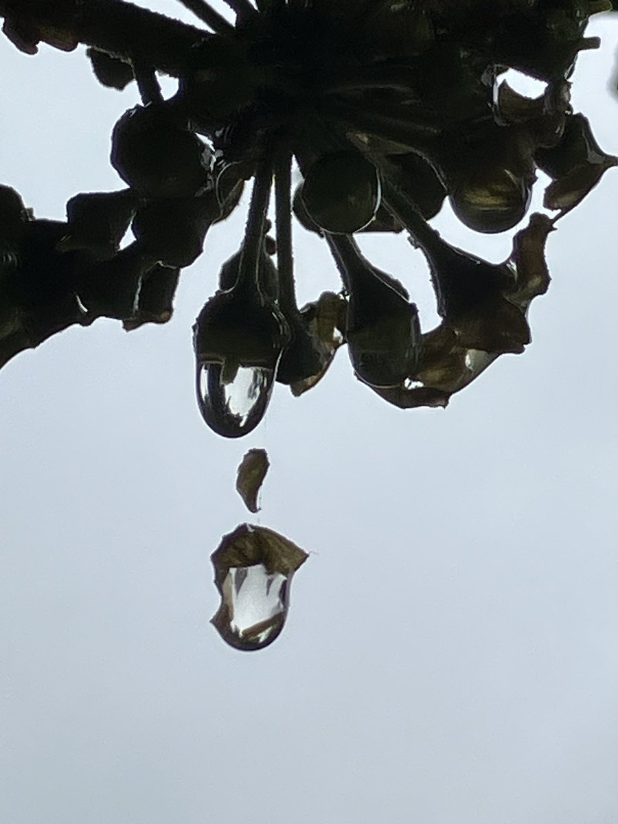 srjudithl's tweet photo. #SimplyLife #Choice4God #Choice4Good. Killing time at the bus stop when the bus is 35 min late because of the rain. https://t.co/CxaBW412Ge