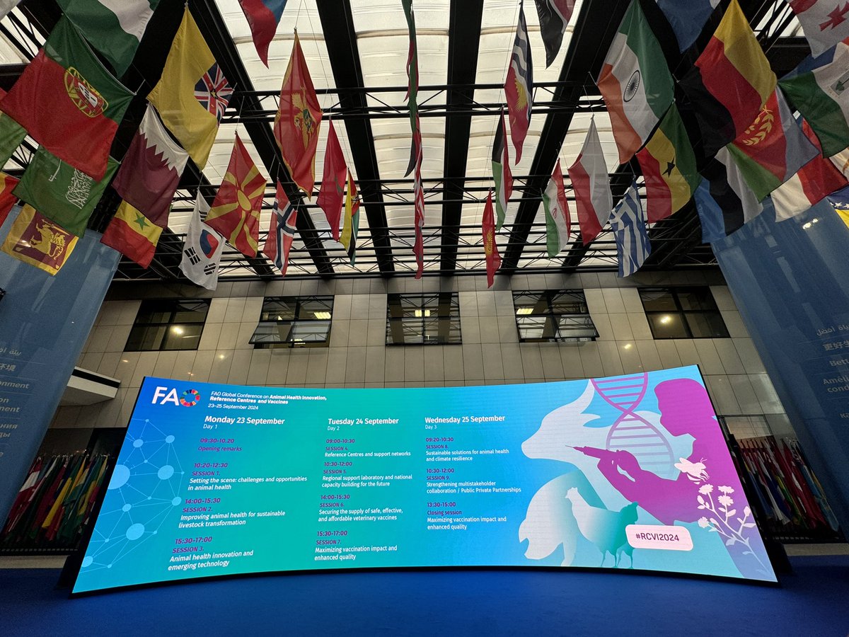 joy_gordoncillo's tweet photo. Honoured to join the @FAO Global Conference on Animal Health Innovation! This milestone is even more special as we celebrate 20 years of #ECTAD, reflecting on our remarkable progress in strengthening animal health and advancing #OneHealth. https://t.co/sqp6eLdKn0 https://t.co/pa1fcFqwk8