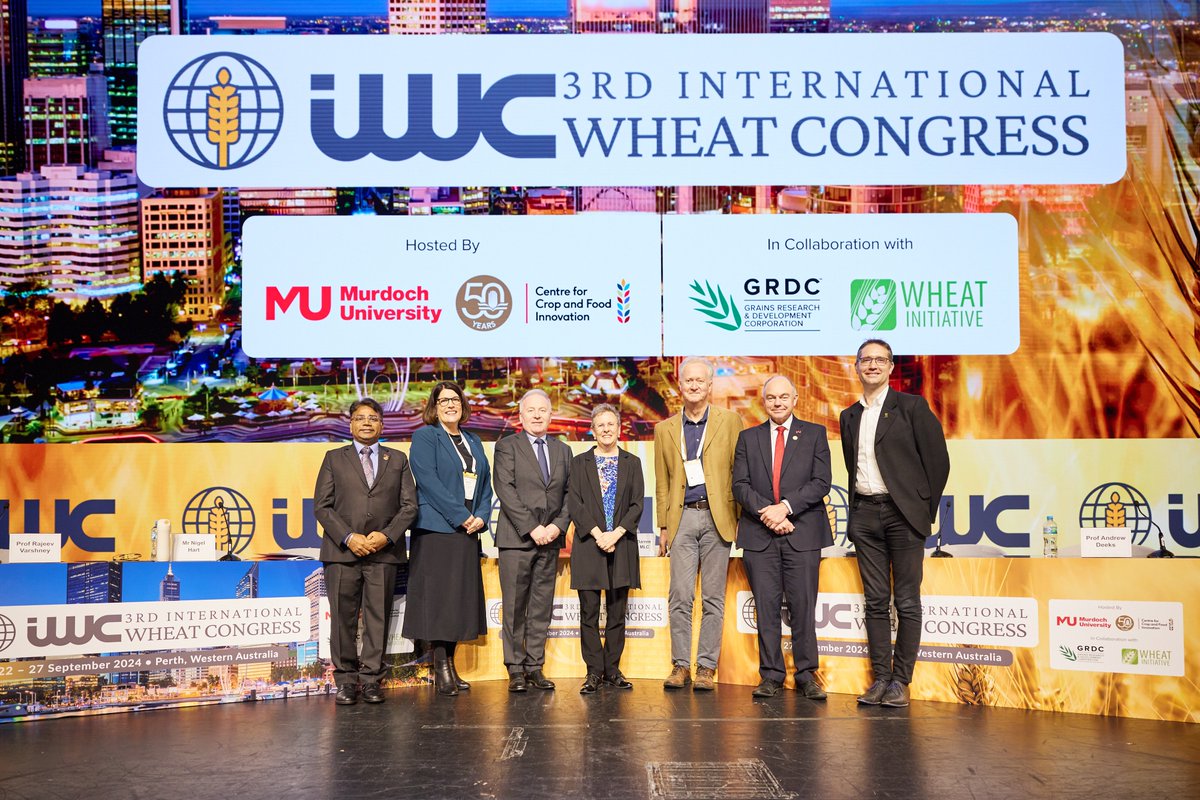 Rajeev Varshney FRS (@rajvarshney) on Twitter photo We had a grand opening of #IWC2024Perth by Hon Darren West representing Premier WA, and impressive speeches from Prof Andrew Deeks, VC & President <a href="/MurdochUni/">Murdoch University</a>, @Nige_Hart MD <a href="/theGRDC/">GRDC</a>, Heather Brayford DG <a href="/DPIRDWA/">DPIRDWA</a>, <a href="/bramaccimmyt/">Bram Govaerts CIMMYT</a> DG <a href="/CIMMYT/">CIMMYT</a>, <a href="/WendyUmberger/">Wendy Umberger</a> CEO <a href="/ACIARAustralia/">ACIAR</a>, We had a grand opening of #IWC2024Perth by Hon Darren West representing Premier WA, and impressive speeches from Prof Andrew Deeks, VC & President <a href="/MurdochUni/">Murdoch University</a>, @Nige_Hart MD <a href="/theGRDC/">GRDC</a>, Heather Brayford DG <a href="/DPIRDWA/">DPIRDWA</a>, <a href="/bramaccimmyt/">Bram Govaerts CIMMYT</a> DG <a href="/CIMMYT/">CIMMYT</a>, <a href="/WendyUmberger/">Wendy Umberger</a> CEO <a href="/ACIARAustralia/">ACIAR</a>,
