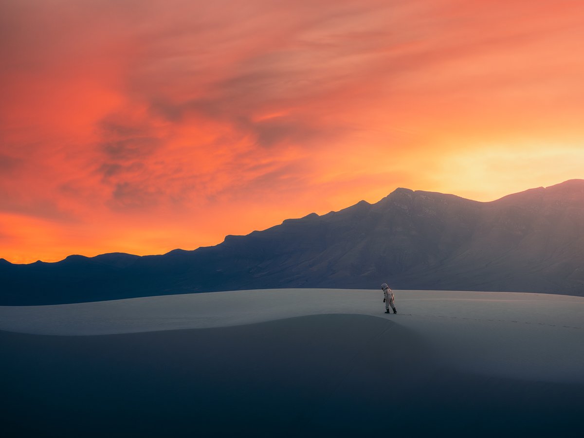 FUJIFILM X/GFX USA tweet media