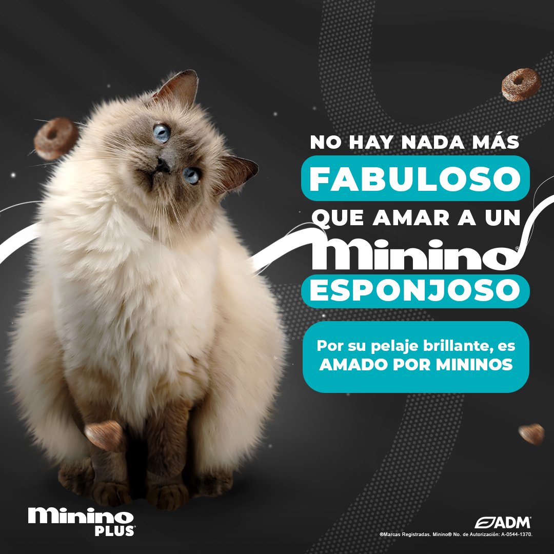 El amor está en el aire… y en el corazoncito sano de tu michi.
Regresa en cada tazón un poquito del amor prrrfecto que tu minino te brinda día con día.

Minino Plus®: #AmadoPorMininos, disponible en tu tienda de autoservicio.