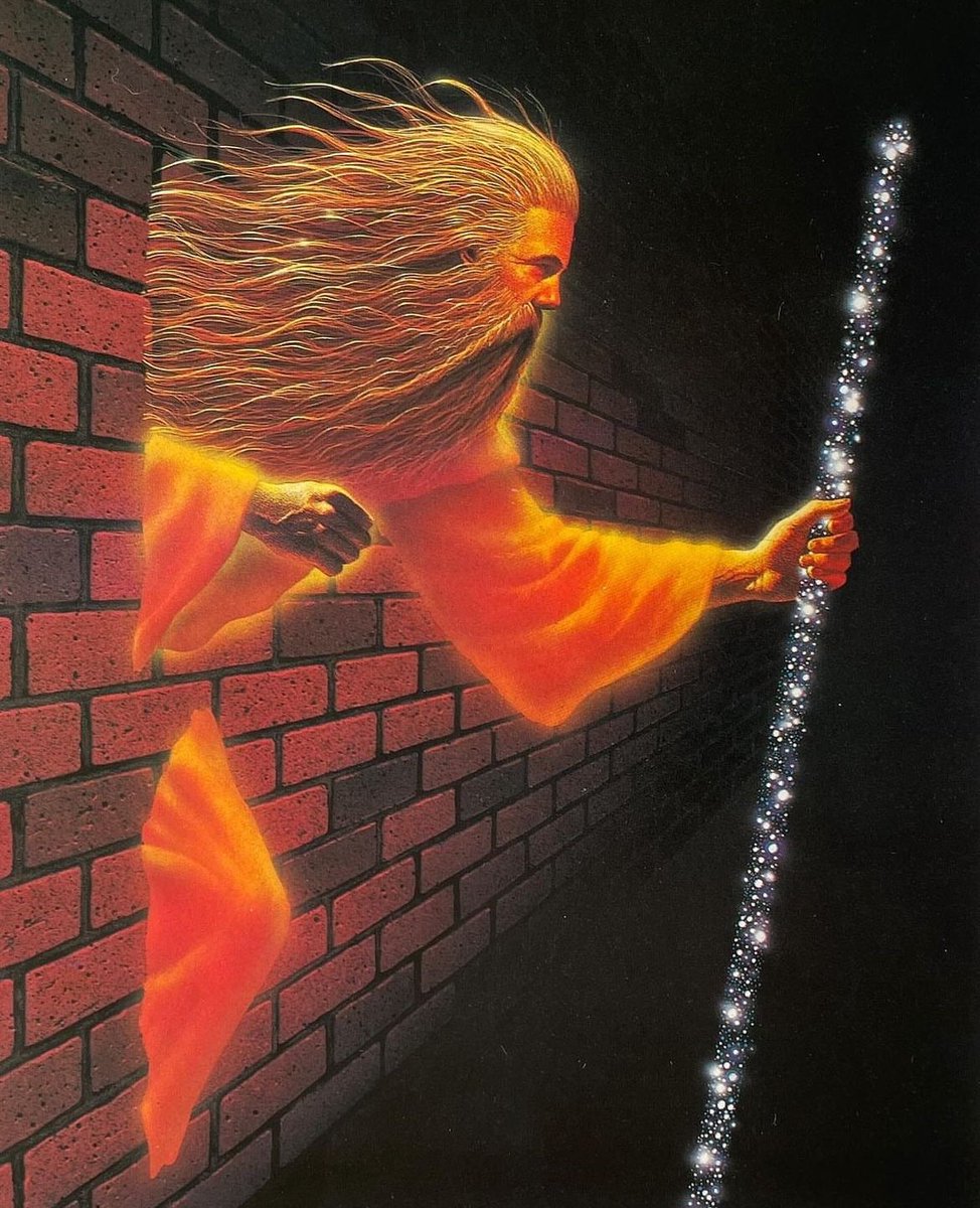 d.quer 🐉 tweet media