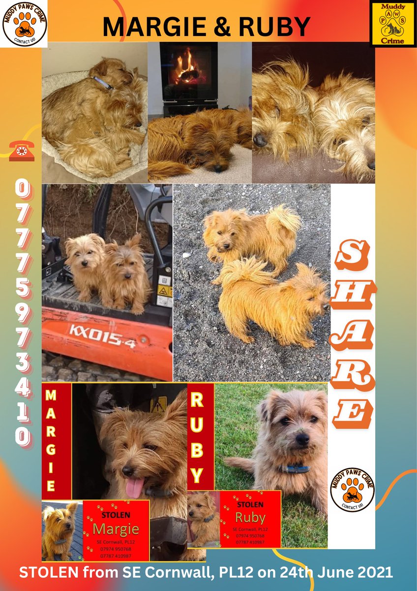 muddypawscrime's tweet photo. Please Note the owners are taking a break from social media so if anyone has information to pls contact Muddypawscrime page on FACEBOOK, Email muddypawscrime@gmail.com or Telephone Lisa on 07775973410 (00447775973410 if outside uk ) Thank you x https://t.co/JB09zapDoT