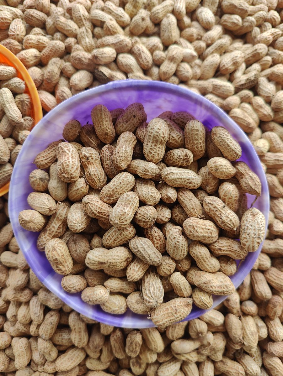 Almardi93's tweet photo. Nos richesses 🥜 #Tchad 🤤 https://t.co/Tq6InIQ2qu