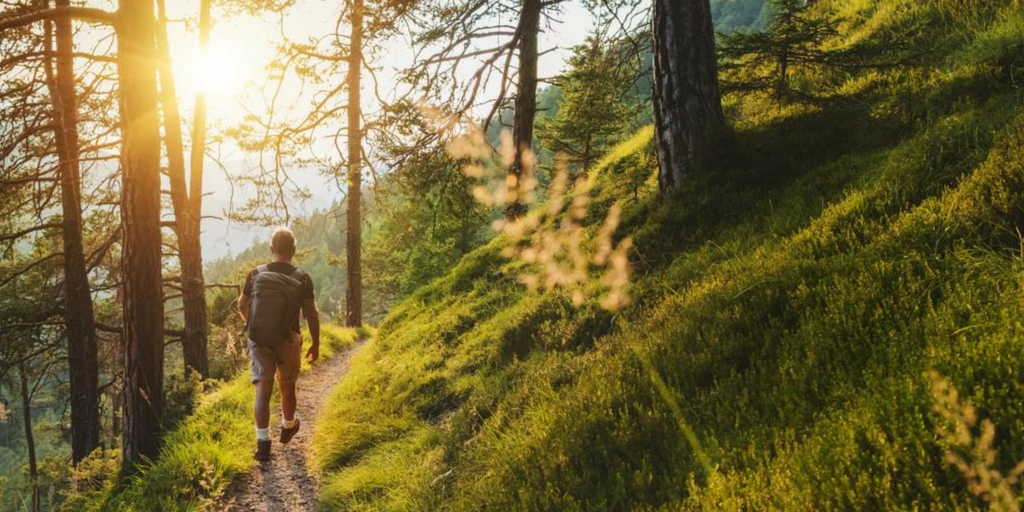 Bayerischer Wald Urlaub dlvr.it/TDb7WR