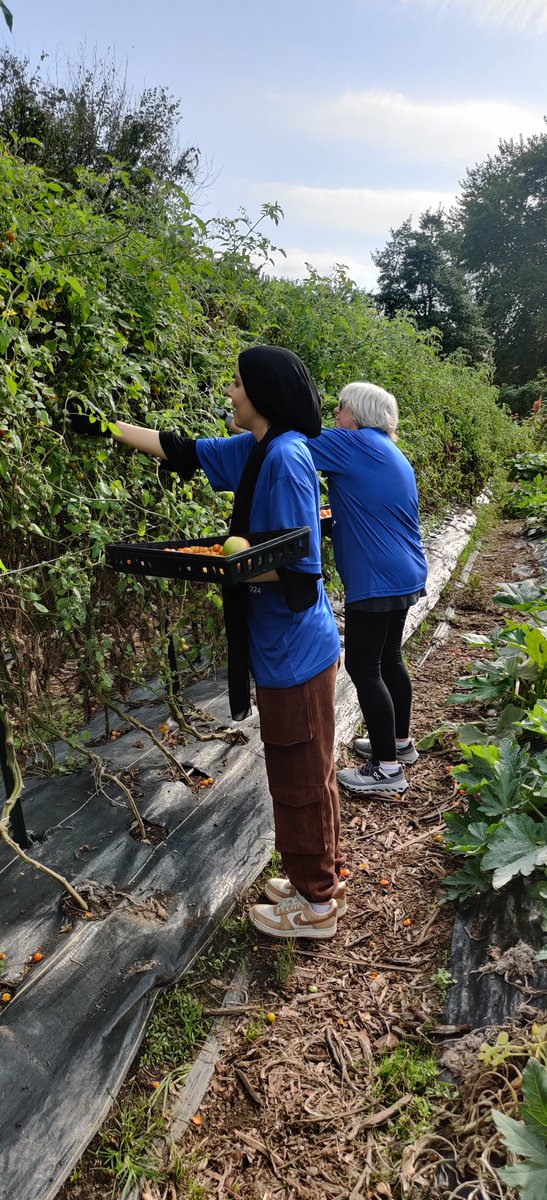 Carrie Hessler-Radelet (she/her/hers) tweet media