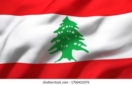 nasertorkan's tweet photo. برای #لبنان که روزی عروس خاورمیانه بود…
#Lebanon #WeStandWithPalestine #WeStandWithGaza #WeStandWithLebanon
#GenocideByIsrael https://t.co/vtQAHlgFGw