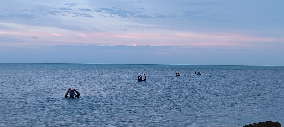All about today's snorkeling 🤿....got a chance to explore amazing coral reefs and diversity of #PalkBay  #Rameshwaram with @AvaniSasidharan <a href="/haripriya285/">Haripriya</a> <a href="/SangeethaU1998/">Sangeetha Udayakumar</a>, Arjun and Musthafa.....💃✨