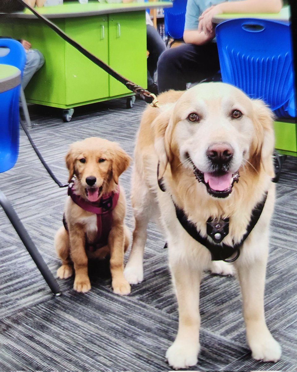 LRusselle21's tweet photo. Thank you to the Elgin Police Dept for bringing their 2 comfort dogs to Ronald ONeal today. A great way to start a Monday! 👮🐕❤️ https://t.co/JRg4whsdYN